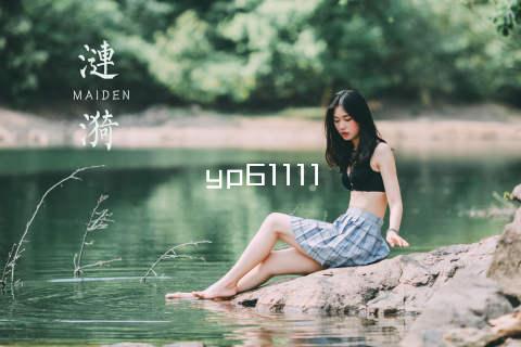 yp61111